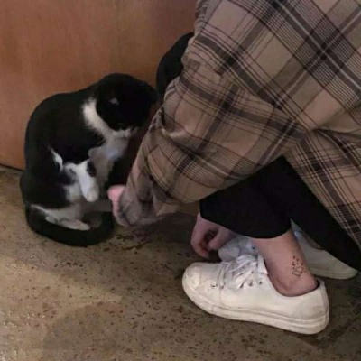 湖南灿灿账号清空视频，只留一条叫停杀猪宴